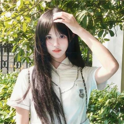 拜访森林